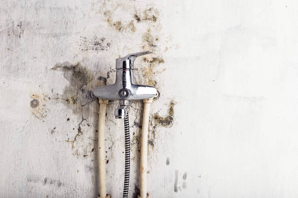 Best Industrial Mold Remediation in Crosby, MN