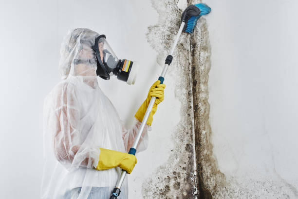 Best HVAC Mold Remediation in Crosby, MN