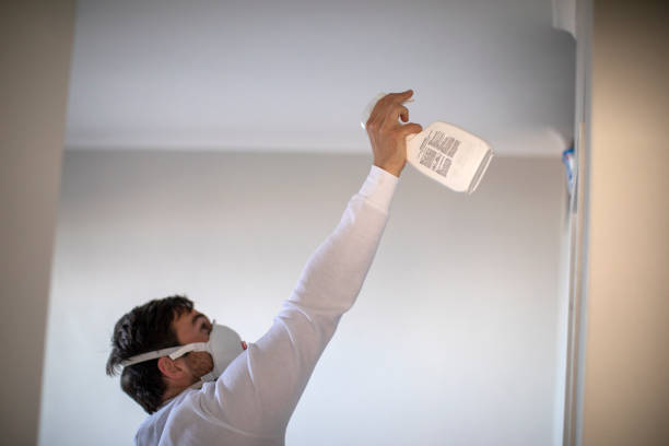 Best Post-Remediation Services in Crosby, MN