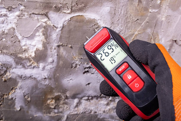 Best Bathroom Mold Remediation in Crosby, MN