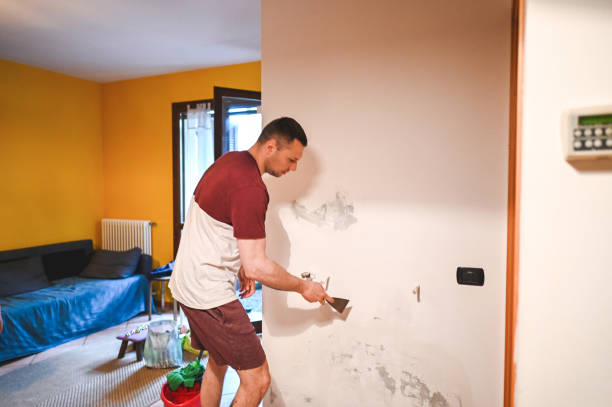 Best Mold Remediation for Specific Building Types in Crosby, MN