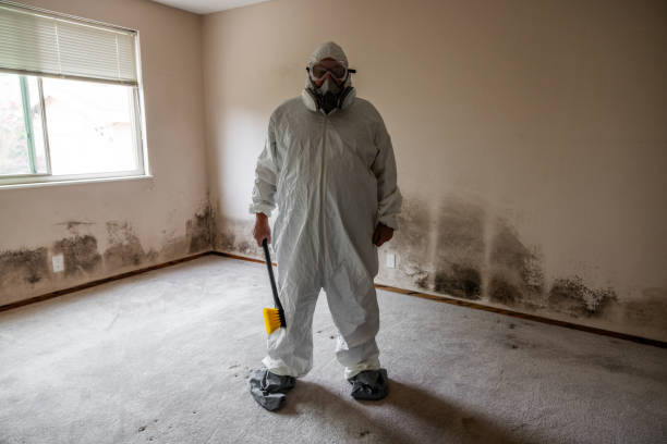 Best DIY Mold Remediation Support Services in Crosby, MN
